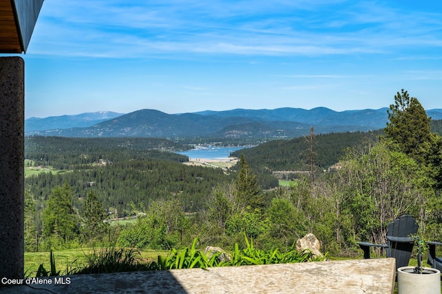 7801 W Eagle Ridge Rd, Coeur Dalene, ID 83814 - photo 43