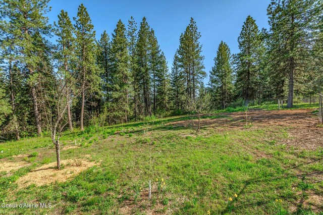 7801 W Eagle Ridge Rd, Coeur Dalene, ID 83814 - photo 61