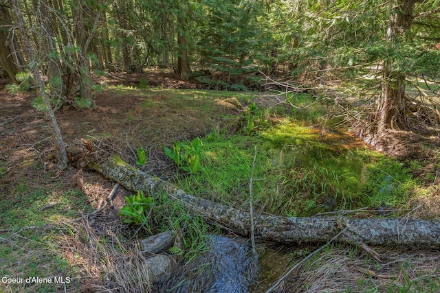 NNA Bottle Bay Rd, Sagle, ID 83860
