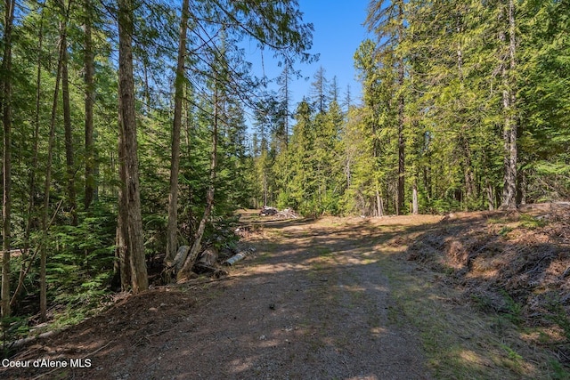 NNA Bottle Bay Rd, Sagle, ID 83860