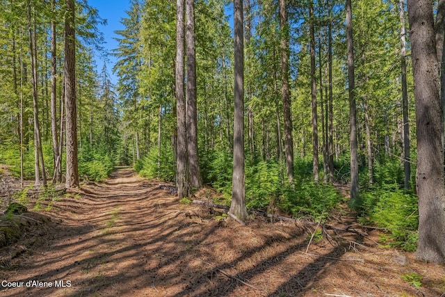 NNA Bottle Bay Rd, Sagle, ID 83860