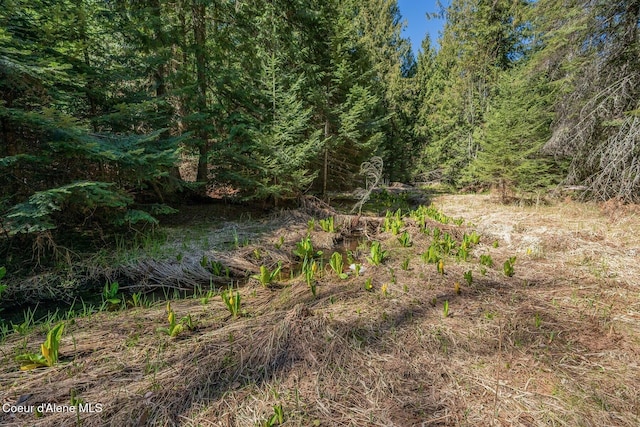 NNA Bottle Bay Rd, Sagle, ID 83860