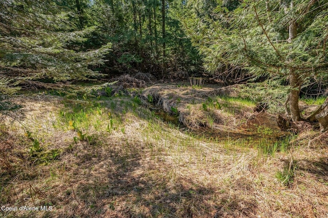 NNA Bottle Bay Rd, Sagle, ID 83860