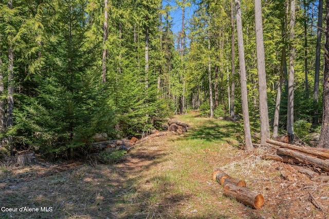 NNA Bottle Bay Rd, Sagle, ID 83860