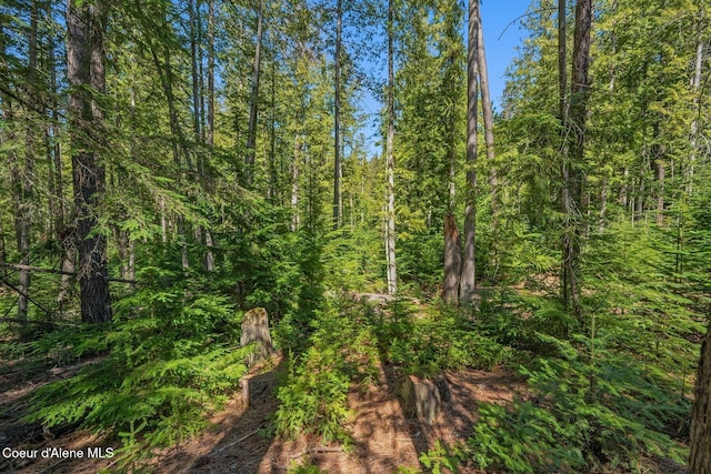 NNA Bottle Bay Rd, Sagle, ID 83860