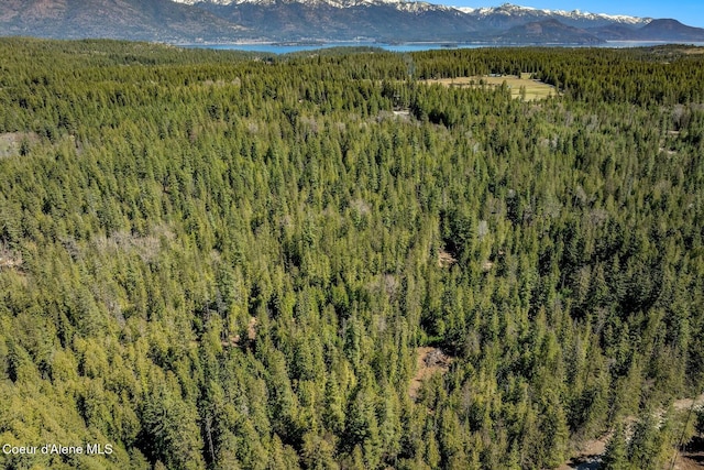 NNA Bottle Bay Rd, Sagle, ID 83860