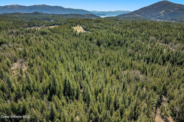 NNA Bottle Bay Rd, Sagle, ID 83860