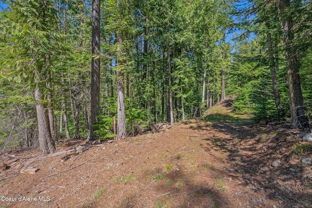 NNA Bottle Bay Rd, Sagle, ID 83860 - photo 8