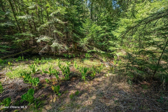 NNA Bottle Bay Rd, Sagle, ID 83860 - photo 9