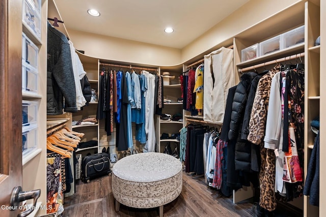 11 Canoe Cv, Dover, ID 83825 - walk in closet featuring wood finished floors