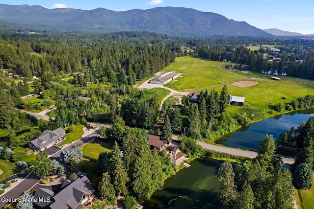 11 Canoe Cv, Dover, ID 83825 - aerial overview of property's location featuring a water and mountain view and a heavily wooded area