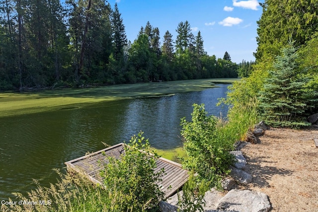 11 Canoe Cv, Dover, ID 83825 - water view with a forest