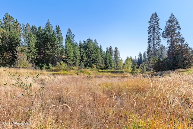 NKA Church, Rathdrum, ID 83858 - photo 14