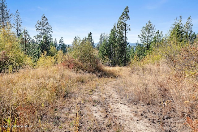 NKA Church, Rathdrum, ID 83858 - photo 15