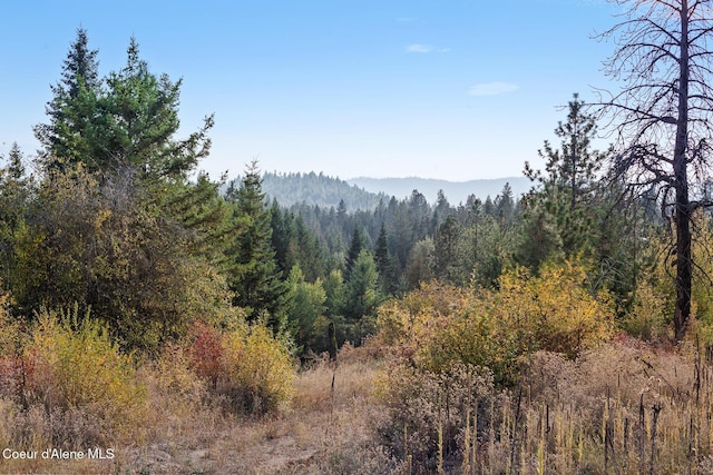 NKA Church, Rathdrum, ID 83858 - photo 16