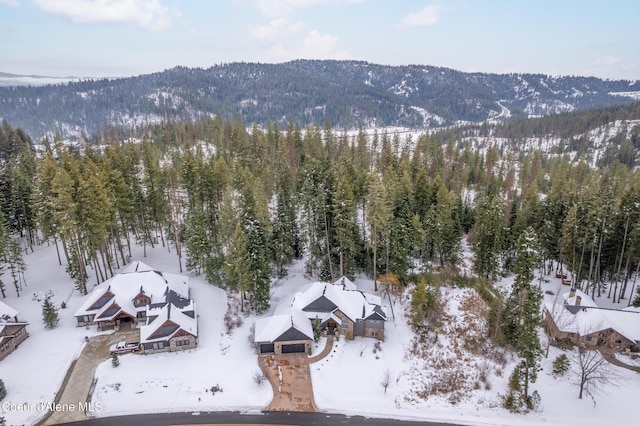 3742 W Cielo View Ct, Coeur Dalene, ID 83814 - photo 73