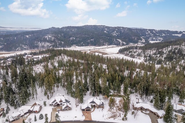 3742 W Cielo View Ct, Coeur Dalene, ID 83814 - photo 63