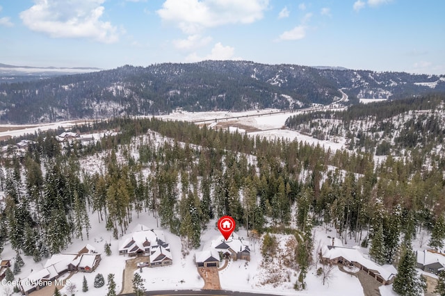 3742 W Cielo View Ct, Coeur Dalene, ID 83814 - photo 64
