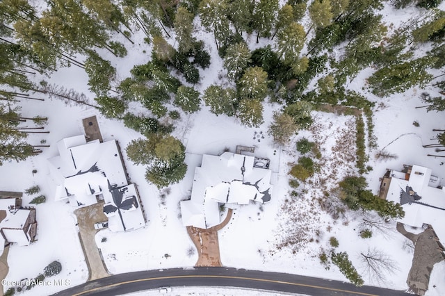 3742 W Cielo View Ct, Coeur Dalene, ID 83814 - photo 65
