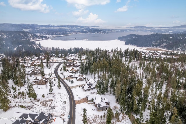 3742 W Cielo View Ct, Coeur Dalene, ID 83814 - photo 69