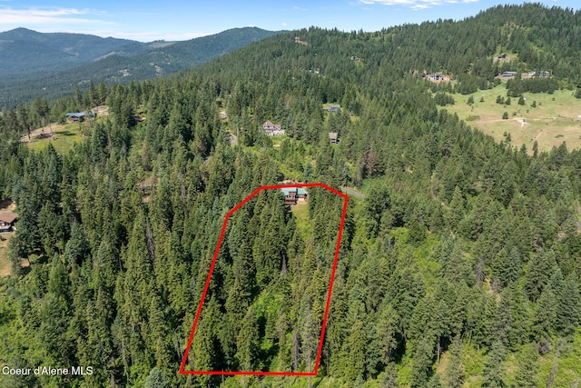 7722 W Clemetson Rd, Coeur Dalene, ID 83814 - view of property location with a forest and property parcel outlined