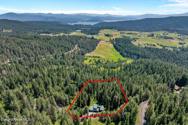 7722 W Clemetson Rd, Coeur Dalene, ID 83814 - aerial overview of property's location featuring a heavily wooded area and property parcel outlined
