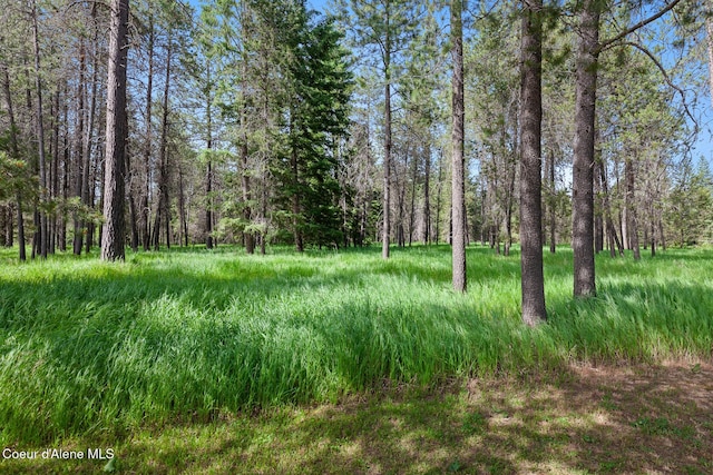 NKA W Camrose Ln, Rathdrum, ID 83858