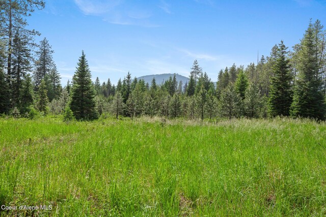 NKA W Camrose Ln, Rathdrum, ID 83858