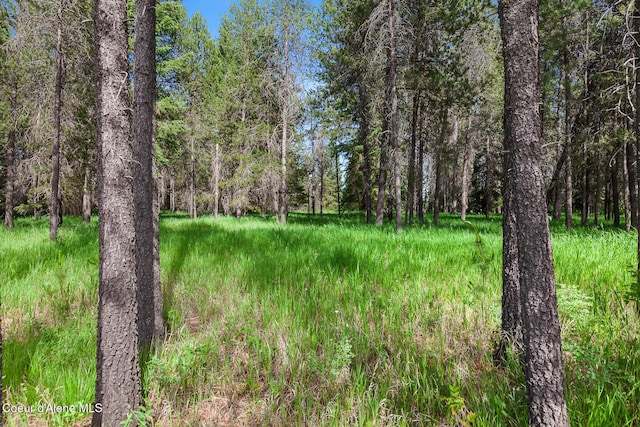 NKA W Camrose Ln, Rathdrum, ID 83858