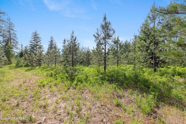 NKA W Camrose Ln, Rathdrum, ID 83858