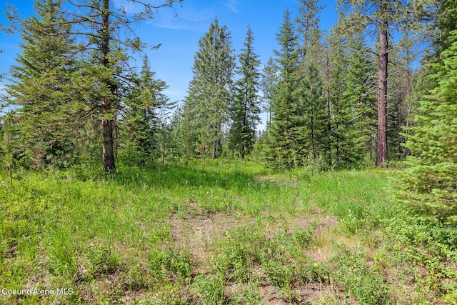 NKA W Camrose Ln, Rathdrum, ID 83858