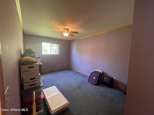 381 Nighthawk Rd, Bonners Ferry, ID 83805 - photo 31