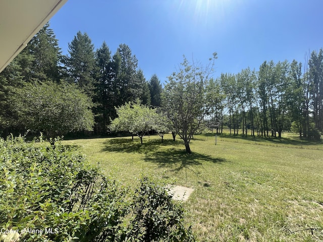 381 Nighthawk Rd, Bonners Ferry, ID 83805 - photo 47