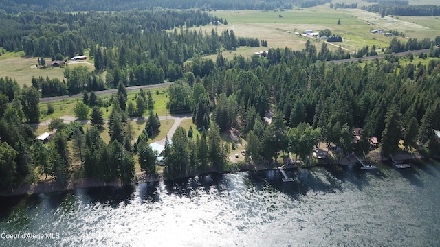 443 Riverlake Dr, Clark Fork, ID 83811