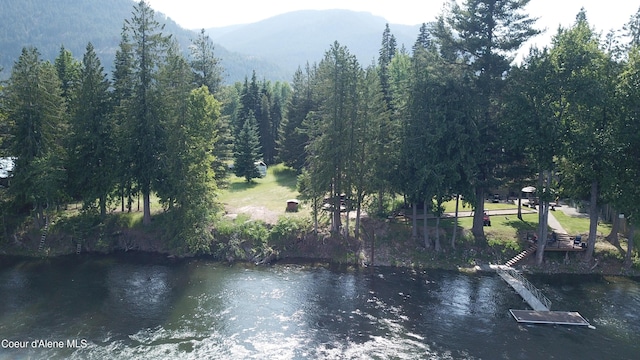 443 Riverlake Dr, Clark Fork, ID 83811