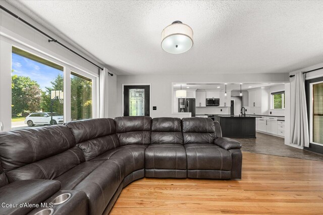 502 W 14th Ave, Post Falls, ID 83854 - living room featuring a textured ceiling, light wood-style flooring, and plenty of natural light
