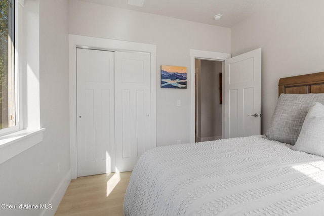 52 Peggys Ct, Dover, ID 83825 - bedroom featuring light wood-style flooring, multiple windows, and a closet