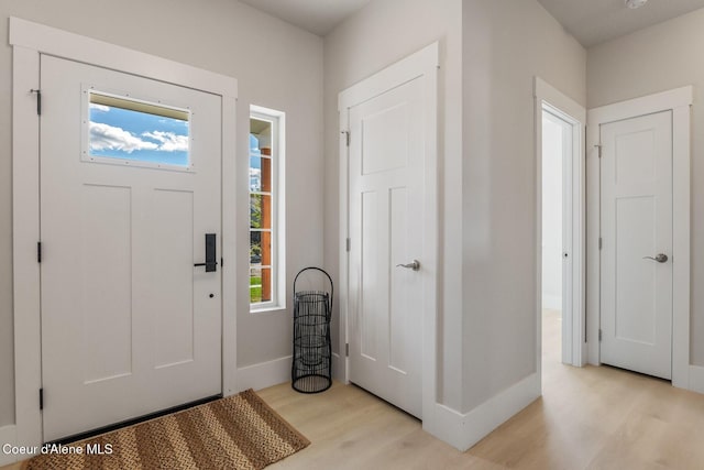 52 Peggys Ct, Dover, ID 83825 - entryway featuring light wood-style floors and healthy amount of natural light