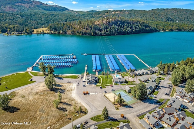 52 Peggys Ct, Dover, ID 83825 - aerial view of a forest and a water and mountain view