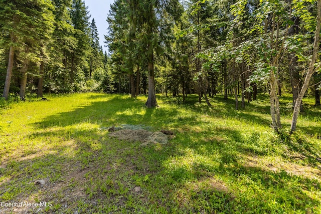 4900 E Hudlow Rd, Hayden, ID 83835 - view of yard with a view of trees