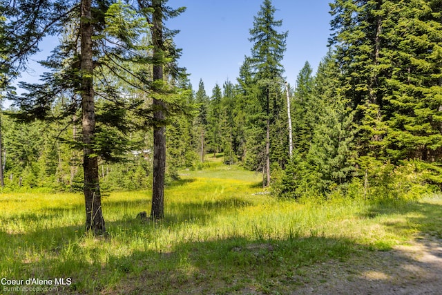 4900 E Hudlow Rd, Hayden, ID 83835 - view of tree filled area