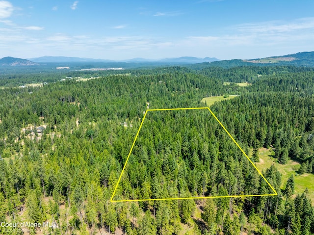 4900 E Hudlow Rd, Hayden, ID 83835 - view of property location featuring a heavily wooded area and property boundaries highlighted