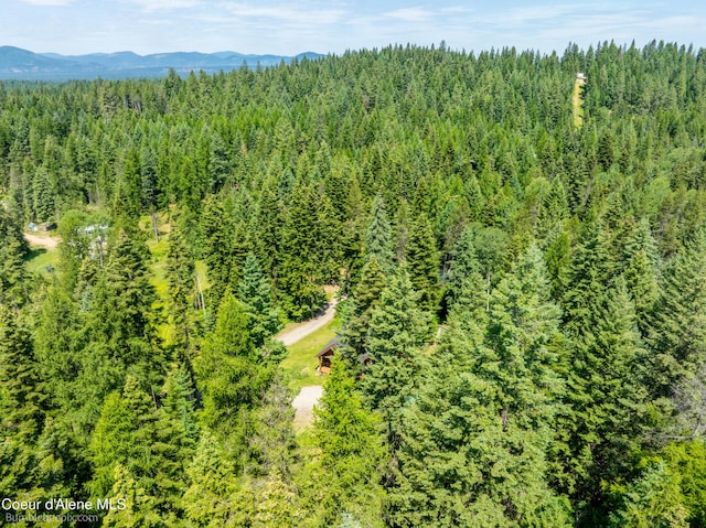 4900 E Hudlow Rd, Hayden, ID 83835 - drone / aerial view of a forest and a mountain backdrop