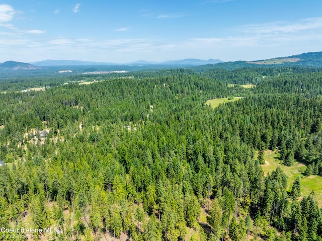 4900 E Hudlow Rd, Hayden, ID 83835 - drone / aerial view of a mountainous background