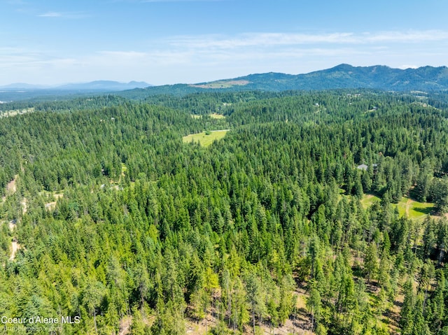 4900 E Hudlow Rd, Hayden, ID 83835 - aerial view of a forest and a mountainous background