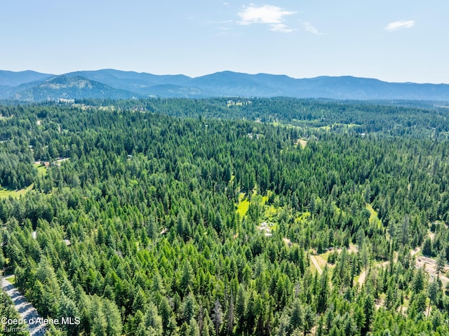 4900 E Hudlow Rd, Hayden, ID 83835 - aerial view of mountains