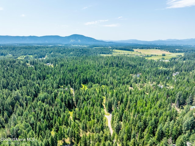 4900 E Hudlow Rd, Hayden, ID 83835 - view of mountain background featuring a forest