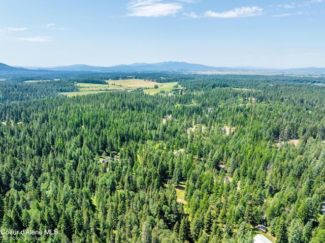 4900 E Hudlow Rd, Hayden, ID 83835 - drone / aerial view of a forest and a mountain backdrop