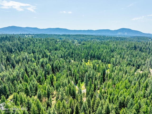 4900 E Hudlow Rd, Hayden, ID 83835 - mountain view with a heavily wooded area
