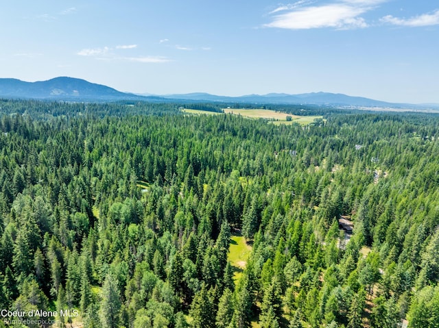 4900 E Hudlow Rd, Hayden, ID 83835 - mountain view with a heavily wooded area